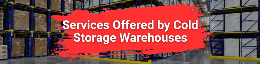 Everything You Need to Know About Cold Storage Warehouses