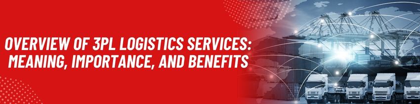 The Future of 3pl Services: the Latest Trends and Innovations