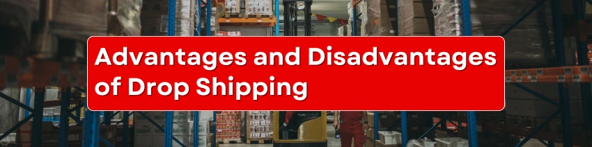 Drop shipping vs. E-Commerce Fulfillment: Which Is Best for You?