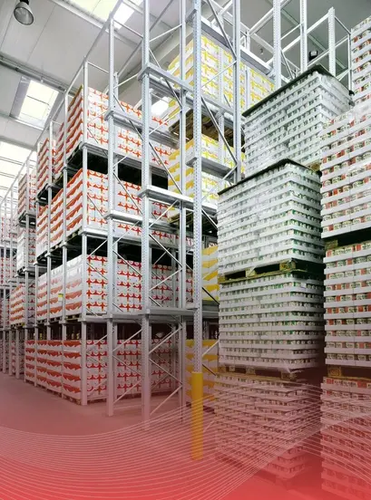 Packed food products